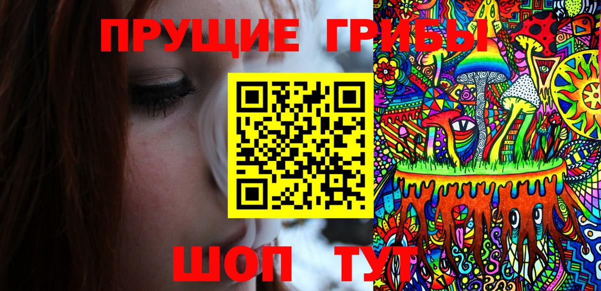 Галлюциногенные грибы Psilocybe  Вход с VPN  Озёры 